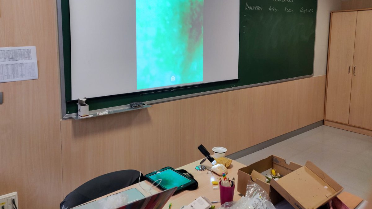 csjva's tweet photo. ¡Aprendizaje práctico y más completo!

Con microscopios digitales🔬🖥️, 4º de EP se asoma a esa naturaleza más compleja: características del moho, los artrópodos o las esponjas de mar.

Material obtenido gracias a nuestra participación en #CodiceTIC de @educacyl. #Transforma23 https://t.co/gyhHzAL8WD
