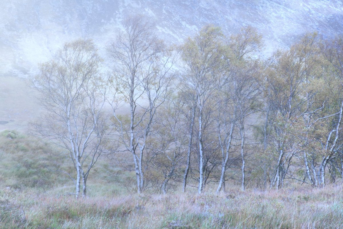 mike22366's tweet photo. Which edit works best? Any photographers out there with any thoughts. Thanks https://t.co/TBanDARUrh