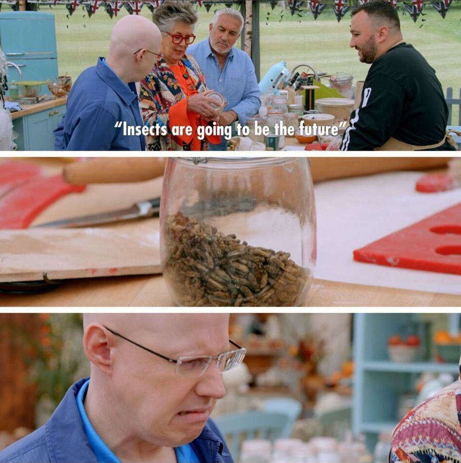 Hey <a href="/PrueLeith/">Prue Leith</a> we think you'll find that's our line! Let us know if you'd like to sample some of the finest bug-based dog food around. 😉 PS: <a href="/Channel4/">Channel 4</a> our vote is for Insect Week in 2023. #GBBO #BugsTasteBest