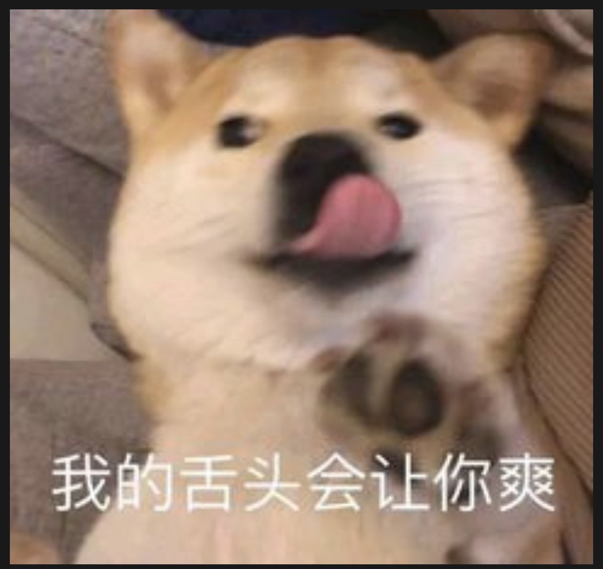 JIBOLUNP's tweet photo. @WhipDad 这个腿绝绝子 https://t.co/M2nKrjwsg6