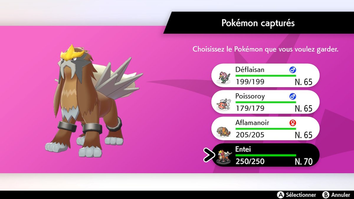 Raphalouf tweet media