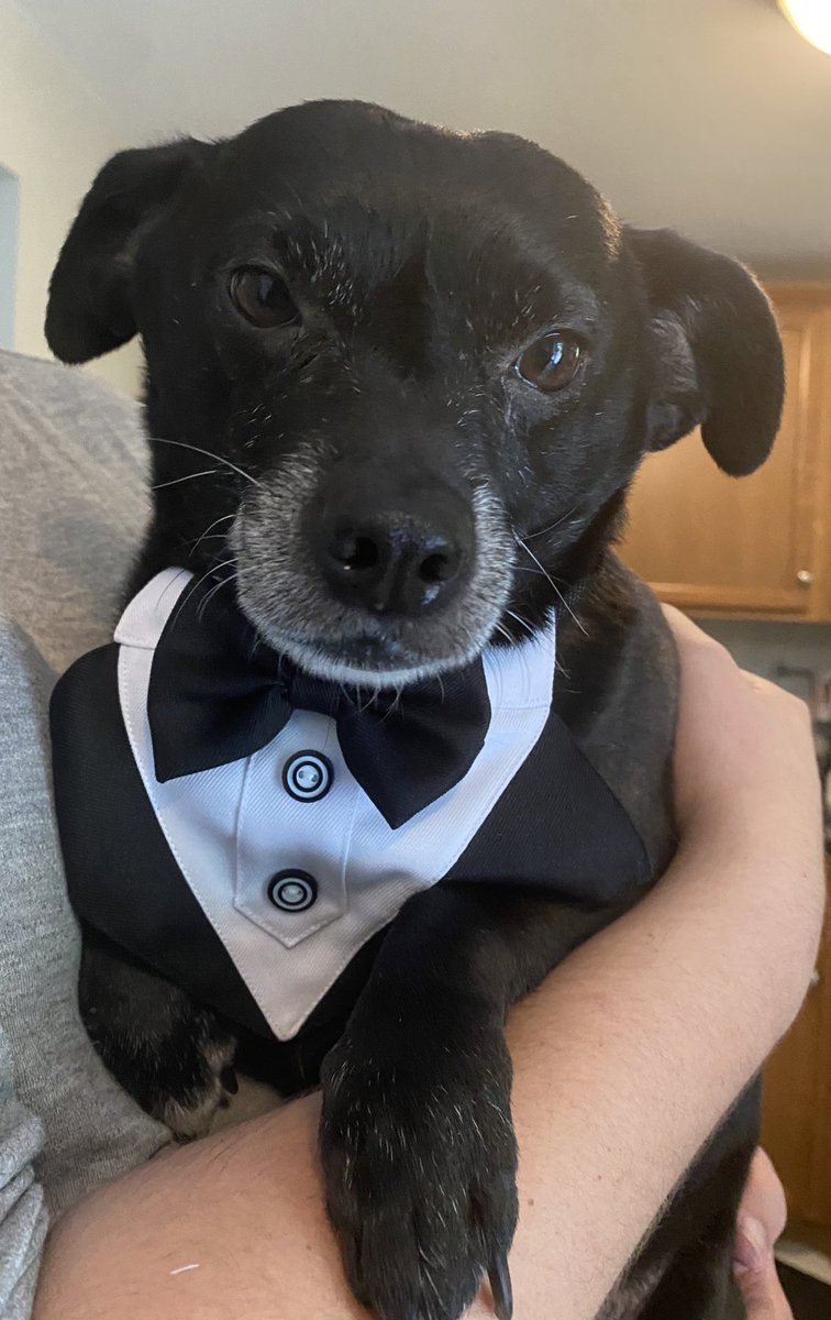 anguhla's tweet photo. @waterparks I HAVE!!! plus a bonus picture of him in a suit and tie!!! https://t.co/Lnw1FjQBbg