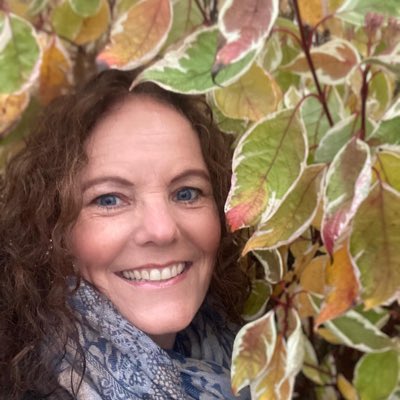 TKarlengen's tweet photo. #NyttProfilbilde https://t.co/yPHsz3gioj
