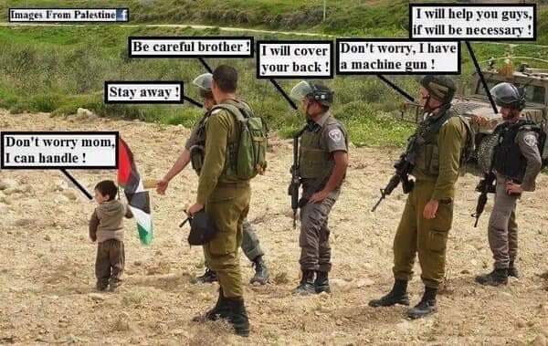 SaraReyi's tweet photo. A  Palestinian little Lion with some cowardly forces. https://t.co/cjHP8qWAxr
