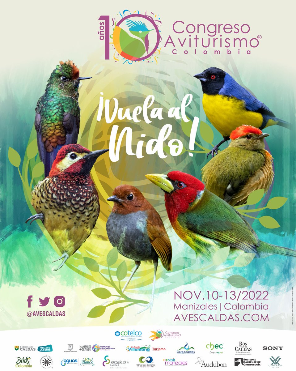 GoberCaldas's tweet photo. 🦜 Regresó uno de los eventos más esperados por todos los amantes de las aves. Manizales y Caldas son destinos ideales para salir a pajarear. 

Más info: https://t.co/eXi8E2mWxW https://t.co/ISNEDSYuM9