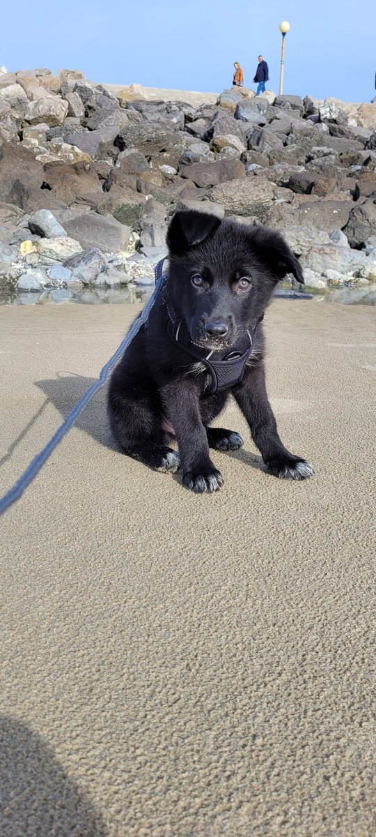 Ah, aufaite
Voici Dart