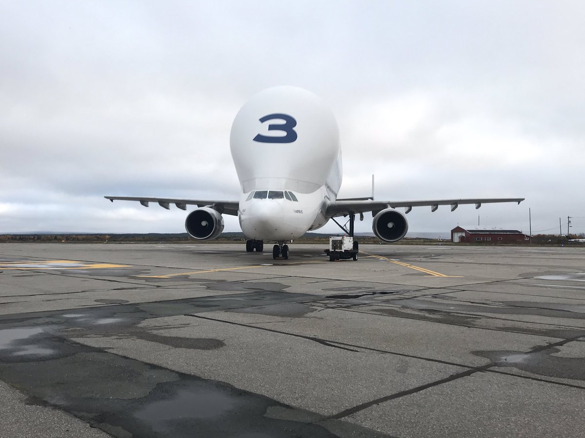 bellars1's tweet photo. Beluga sighting at YQX. #avgeek #cyqx #gander https://t.co/fj6WjEirbT