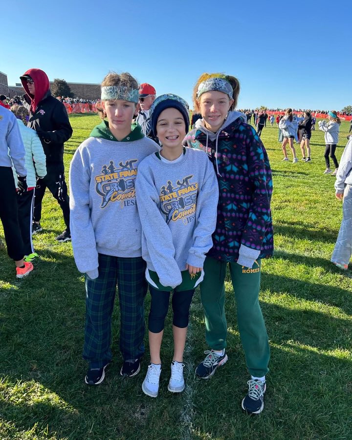 Homer CCSD 33C tweet media