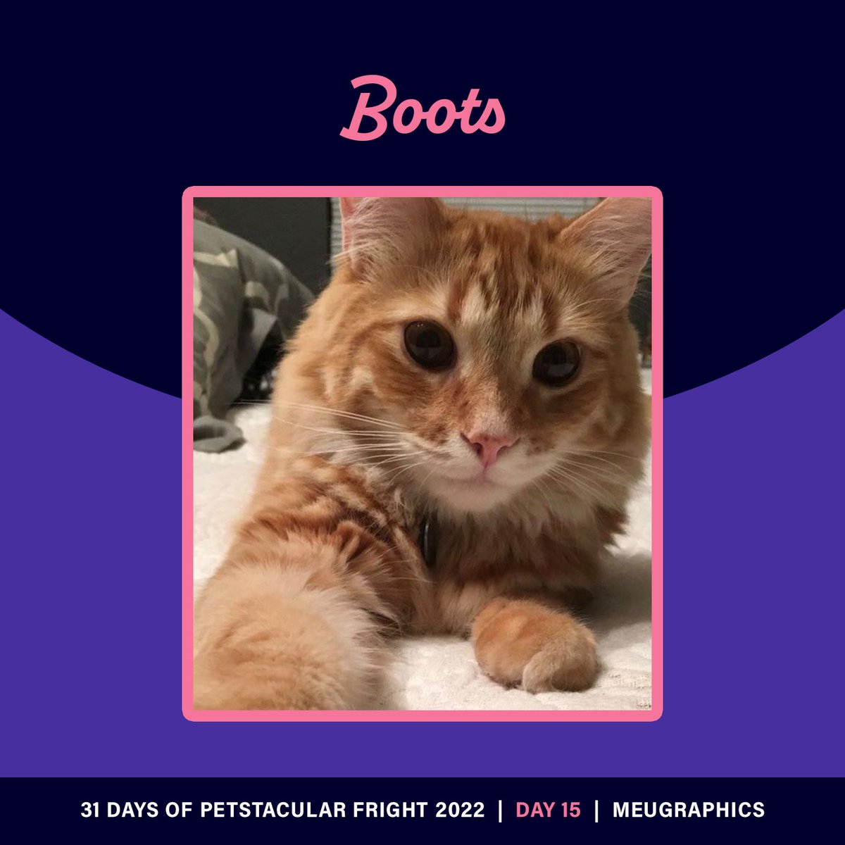 Meugraphics's tweet photo. Day 14 and day 15 pet portraits 😊🐱 #drawtober #dailyillustration #illustrator #catart #halloweenart #Drawlloween2022 https://t.co/XjnCxMJ8Z1