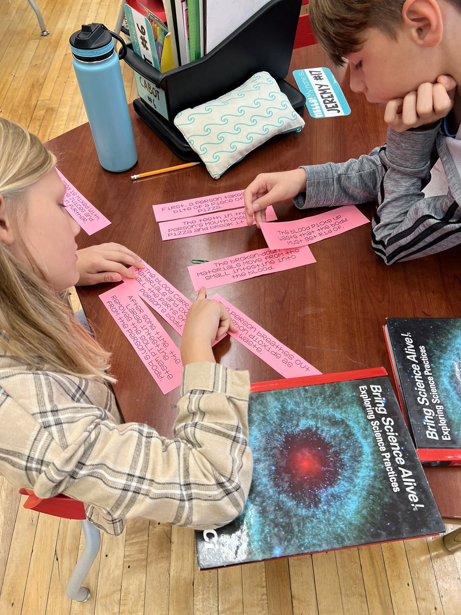 MsFarrey5F's tweet photo. Working hard with our partners to organize the steps of the digestive and circulatory systems in consumers! https://t.co/42bItuXK0w