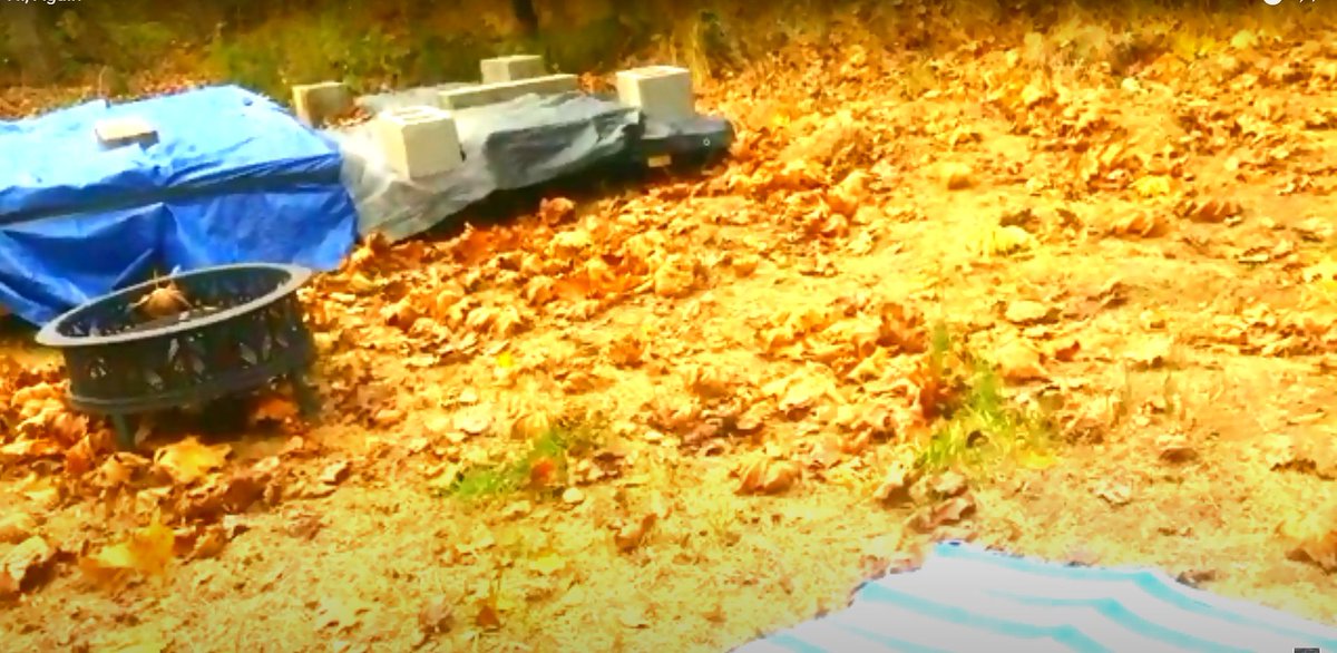 1776mocumentary's tweet photo. Still more Bob. Parked by his camper, said planning to level camper better, had long conv. with big blonde woman in blue jacket, not audible on stream, later talked abt. work to be done over winter clearing brush, etc. Sounds like he knows what he's talking about, unlike others. https://t.co/FOhjI3Bho9