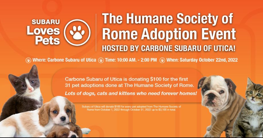 Humane Society Rome (@HumaneSocRome) / Twitter Humane Society Rome (@HumaneSocRome) / Twitter