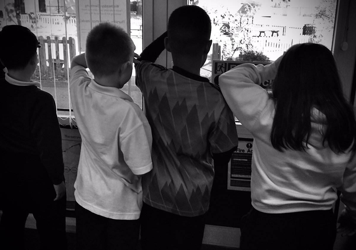 Whilst the Animal Rehabilitation Team wait for their woodland protective shelter designs to be approved by the Bander Trust, they had a look into the area through the fencing and from above with their drone. They caught glimpses of some disturbing things. #MantleoftheExpert