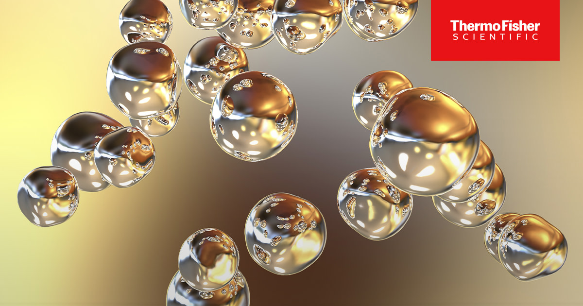 thermosciEMSpec's tweet photo. Learn more about how our #NanoDrop #Spectrophotometer serves as a simple and reliable method to evaluate the surface modification of gold nanoshell (NS)
https://t.co/S58Ktgf3ot https://t.co/hlgxzXfCp2