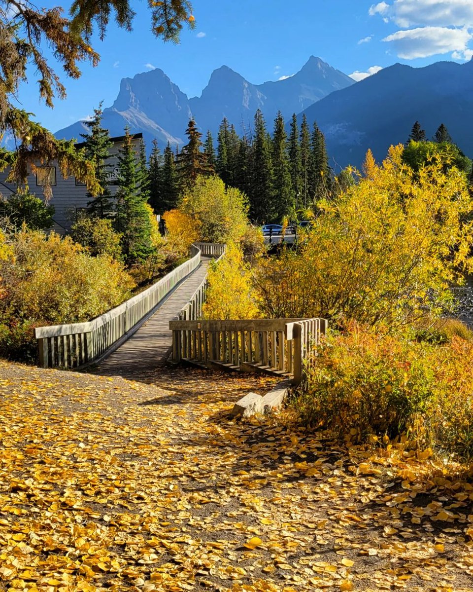 TourismCanmore's tweet photo. A colourful walk through Canmore is the perfect way to spend a sunny afternoon in the Rockies. 

On your next visit, leave your car behind and get around on foot or bike to explore our mountain playground: https://t.co/MRMy6WXQUJ 

📸 IG: renees_views https://t.co/YcVhiq9bno