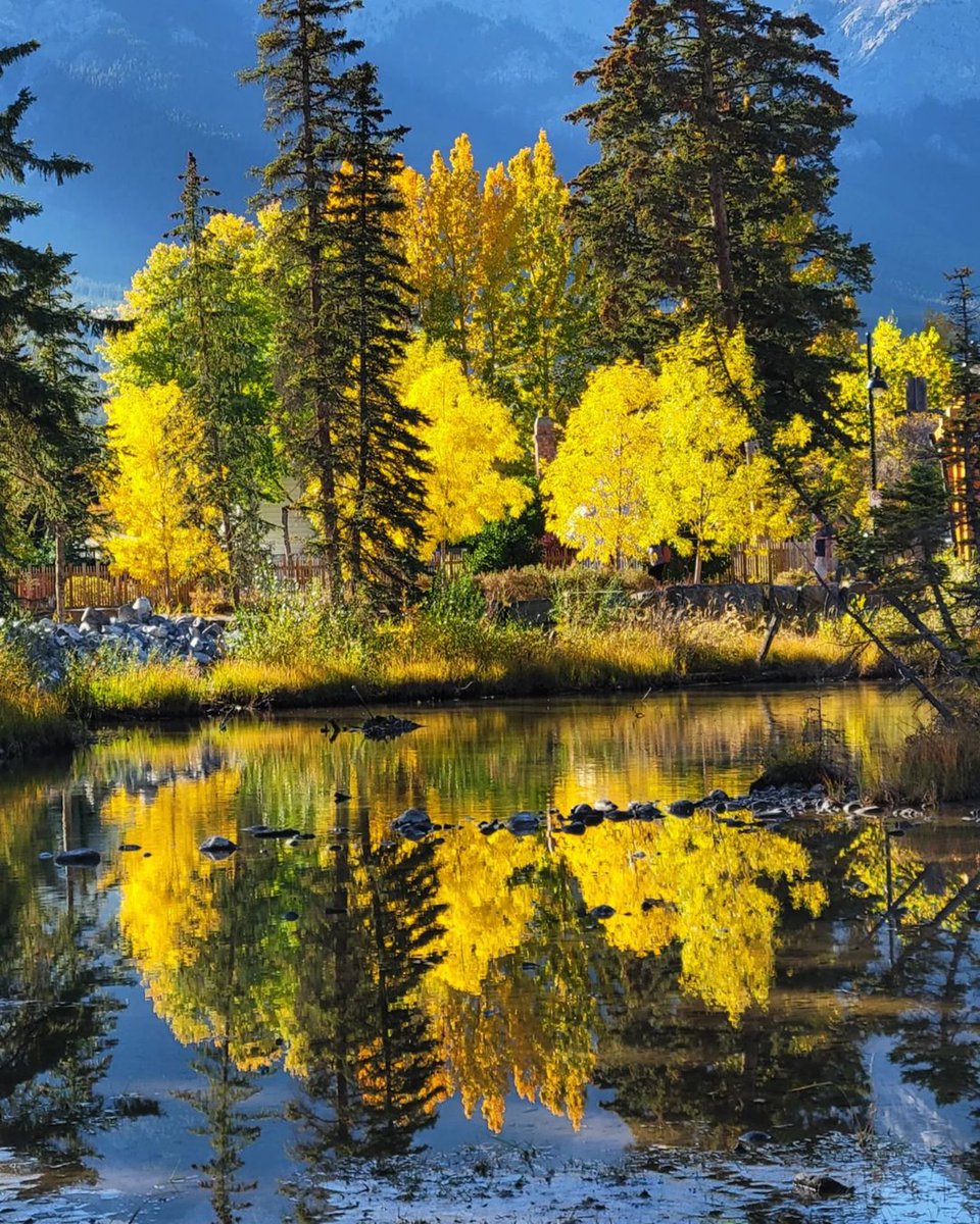 TourismCanmore's tweet photo. A colourful walk through Canmore is the perfect way to spend a sunny afternoon in the Rockies. 

On your next visit, leave your car behind and get around on foot or bike to explore our mountain playground: https://t.co/MRMy6WXQUJ 

📸 IG: renees_views https://t.co/YcVhiq9bno