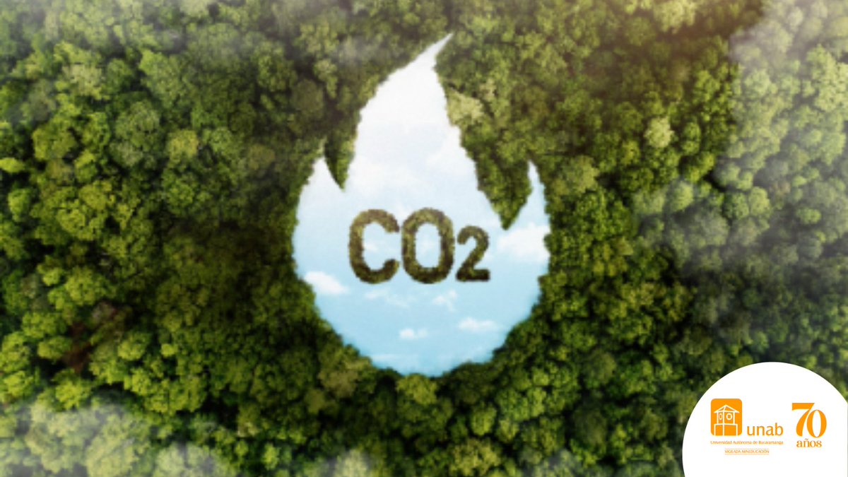 unab_online's tweet photo. ¡Calcula tu huella de carbono y calidad de vida en términos de desplazamientos con #CalculAPP, del @Ministerio_TIC! Así contribuimos al planeta tomando acciones para reducir los efectos del cambio climático! Clic aquí. ➡️https://t.co/ygEDPG0xk6
#UNABAmbiental https://t.co/hSAnByGMyG