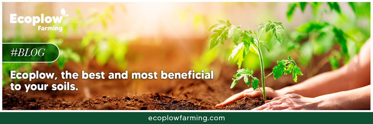EcoplowF's tweet photo. #BLOG
Being a modern and ecological technology, Ecoplow will get you the best results for your soils. More info in our Blog 👉https://t.co/iG6NOVGRoH
Ask for quotes here 👉https://t.co/FvbSqTGOCu https://t.co/CEwBxPPSvl