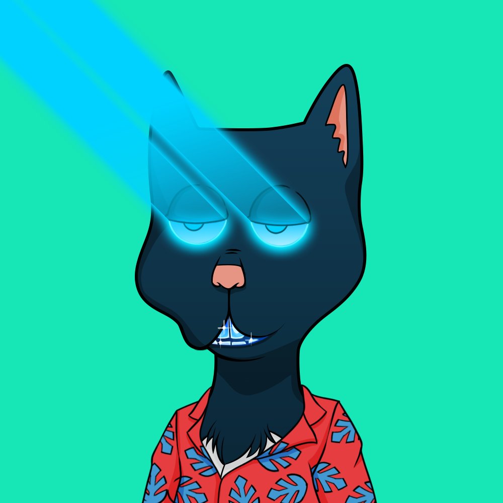 pfeen820's tweet image. Boss Cat Floor, all day all night low % on the market rn!! Great community, CEO, COO, vox artists, mod, community, alien art! @BossCatRC 4 Life! #BCRC #BCAC #NFT