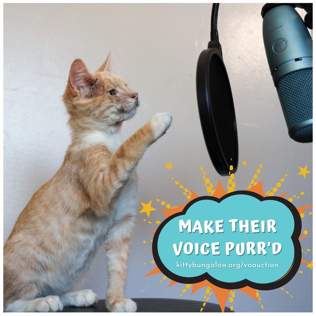 Are you a fan of #JoJosBizzareAdventure ? Want to win a personalized voicemail from Dio (@Seitz_Unseen ) ?!? Then check out our VO Auction happening now! 🐱 kittybungalow.org/voauction