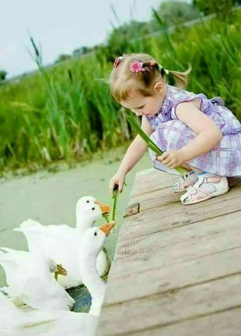 adilsaadie's tweet photo. .
أشياء بسيطة جِدًا قادرة على صنع الفرح بداخلك !
فقط كُن قنوعًا بما تملك راضيًا بالقدر و مؤمن بسعادتك.
#صباح_الجمال https://t.co/YxNW0gNhAh