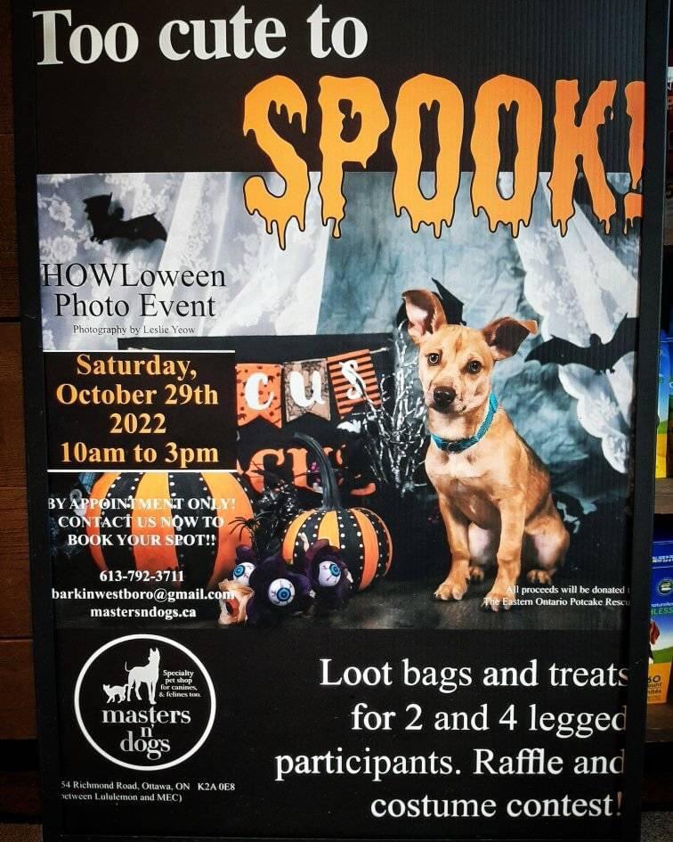 🐶 Dog Lovers: Rejoice & Retweet! 🎃 #WickedlyWestboro is back on Oct 29, & @MastersnDOGSOtt have a HOWLoween Photo Event for your pooch! 10am-3pm Loot bags, dog costume contest, @saveapotcake raffle, too! Book your spot today: 📞 613-792-3711 📧 barkinwestboro@gmail.com