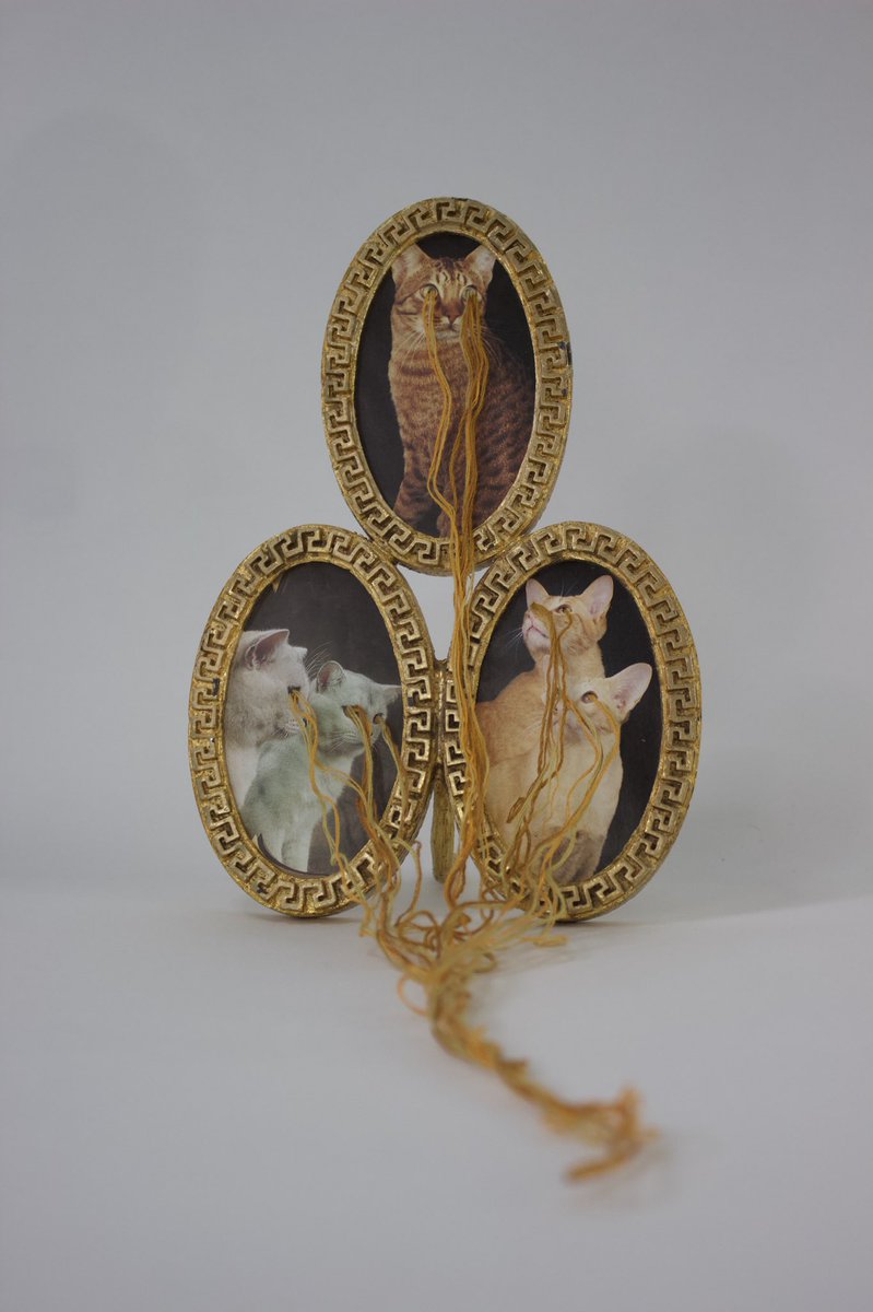 capybailey's tweet photo. Have you seen them?
#catart #collage #textileart #foundobject https://t.co/XuHnYT3IDk