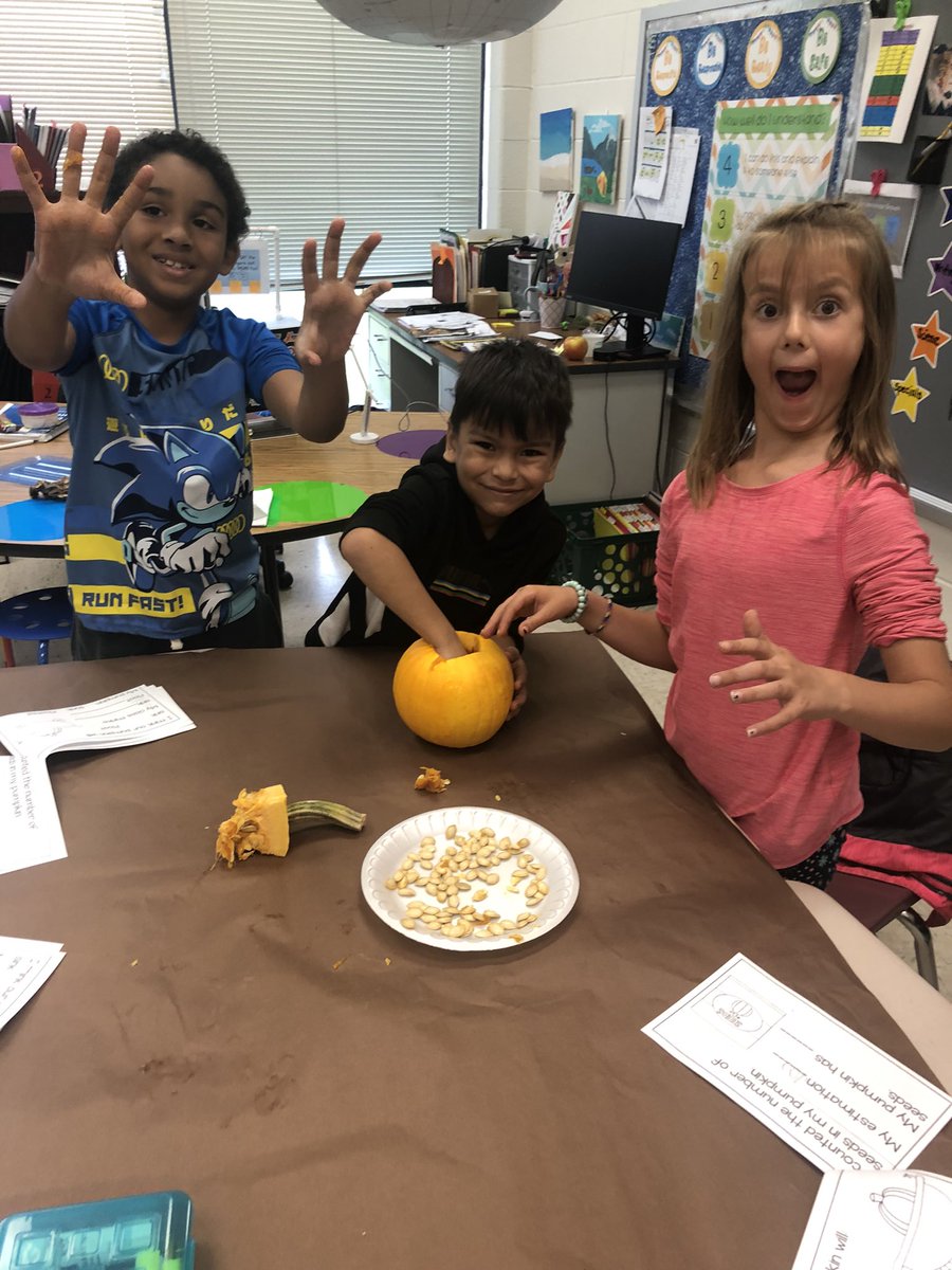 DTESBaird tweet media