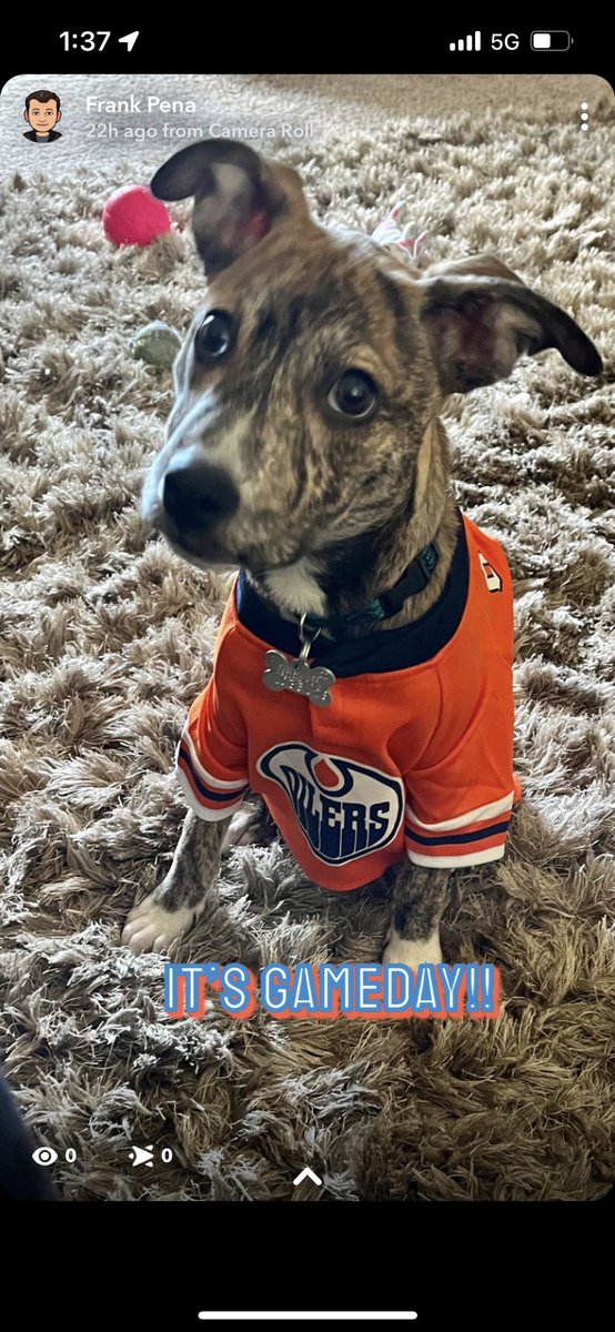 FRPena's tweet photo. It’s Gameday!  #GoOil #Oilers #Edmonton #Alberta #EdmontonOilers https://t.co/F8Gec3oJjY