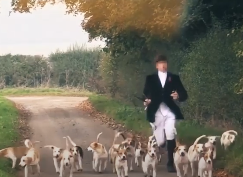 Action Against Hare Hunting tweet media