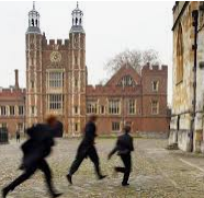 Action Against Hare Hunting tweet media