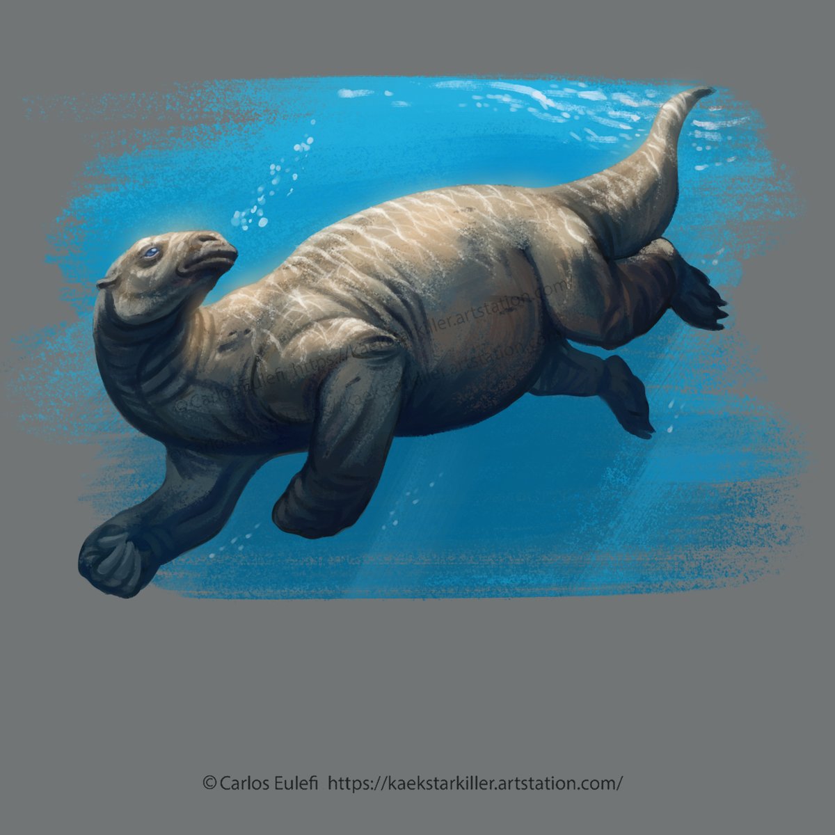 Kaek_art's tweet photo. Thalassocnus, painted on clip studio paint #Thalassocnus #paleo #clipstudiopaint #creaturedesign #wacom https://t.co/7dbBUHHgek