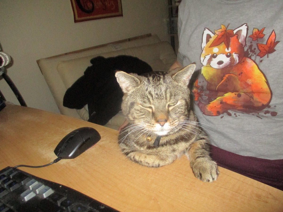 Horza Edeo tweet media