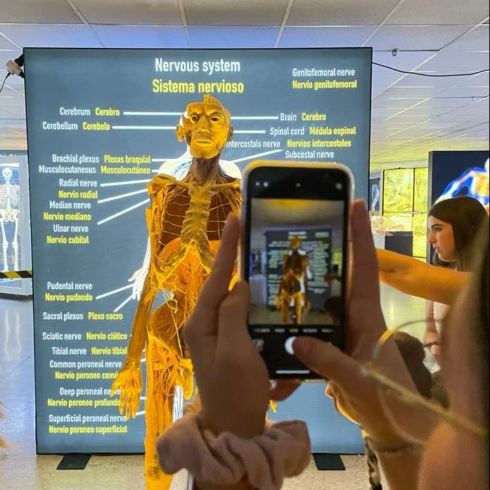 IesSanidad's tweet photo. #Anatomiapatologica viaja a la exposición #Bodies Sevilla. Gracias a sus profesoras por la actividad @marzomlgamez Cristina y Eva
@IColegiales #Antequera #FP #FPsanidad @EducaAnd https://t.co/i8EX3LrDdg