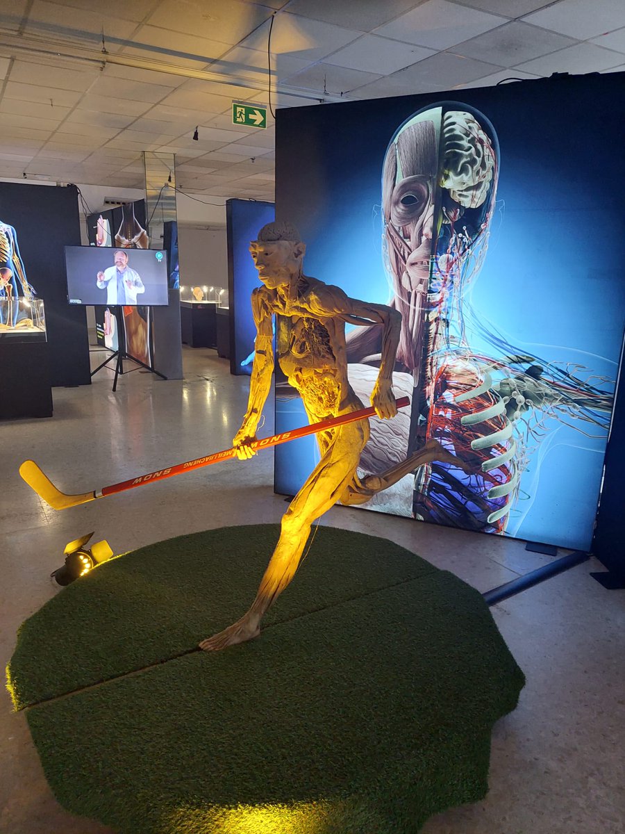 IesSanidad's tweet photo. #Anatomiapatologica viaja a la exposición #Bodies Sevilla. Gracias a sus profesoras por la actividad @marzomlgamez Cristina y Eva
@IColegiales #Antequera #FP #FPsanidad @EducaAnd https://t.co/i8EX3LrDdg