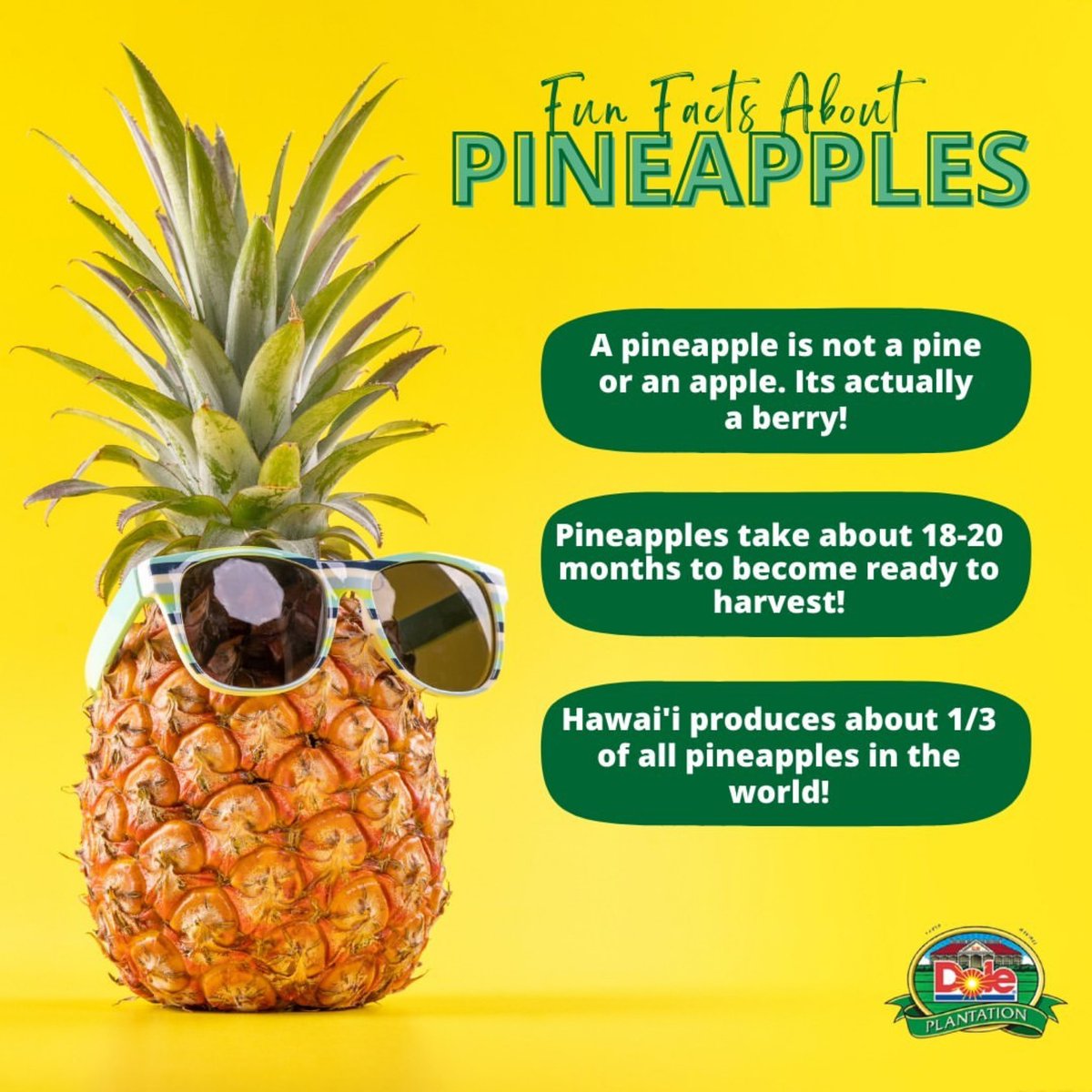Dole Plantation tweet media