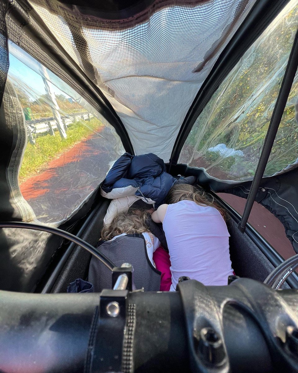 Orla Chennaoui tweet media