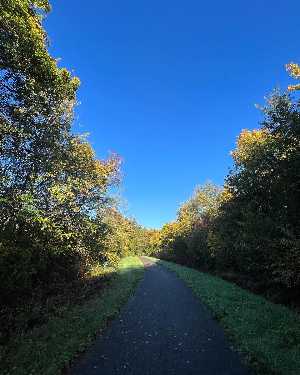 Orla Chennaoui tweet media