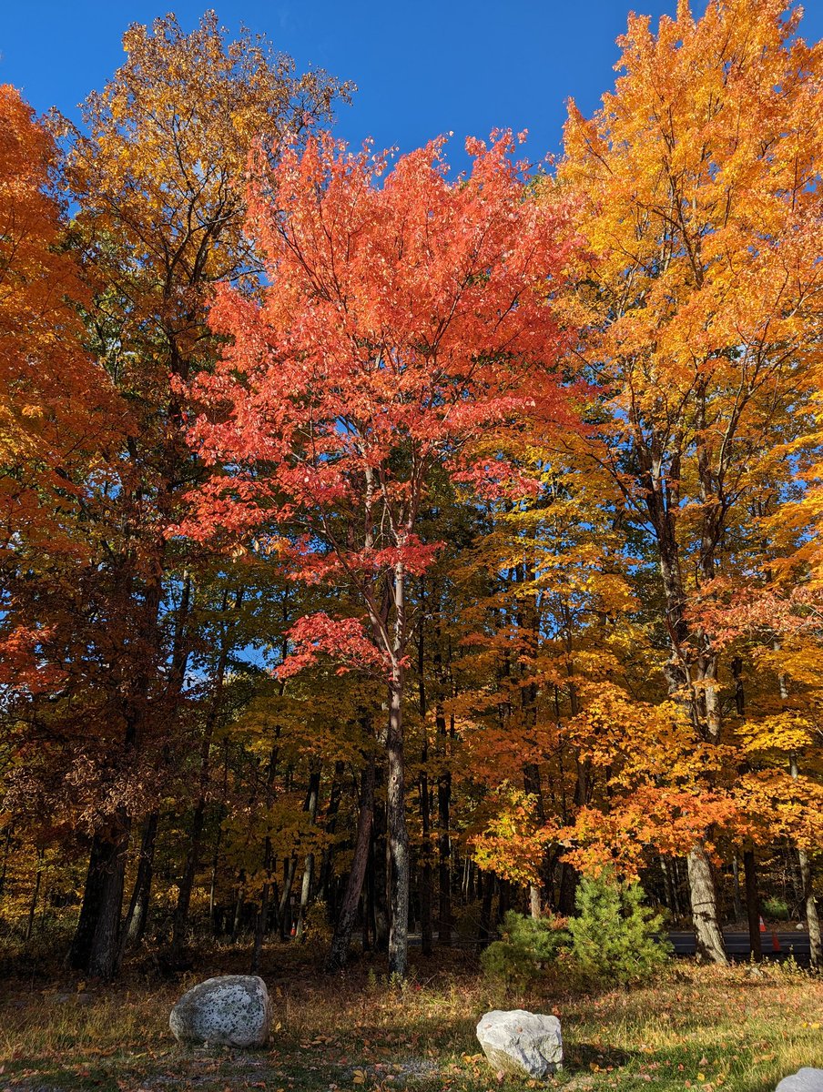 JoshuaBane's tweet photo. Such a pretty hike today with my #teampixel crew!

The fall colors look so good! 
📸 #Pixel7Pro (no edits) SOC. 

#ad #TeamPixelSummit #GiftFromGoogle @googlepixel_us https://t.co/UUt53WHXH6