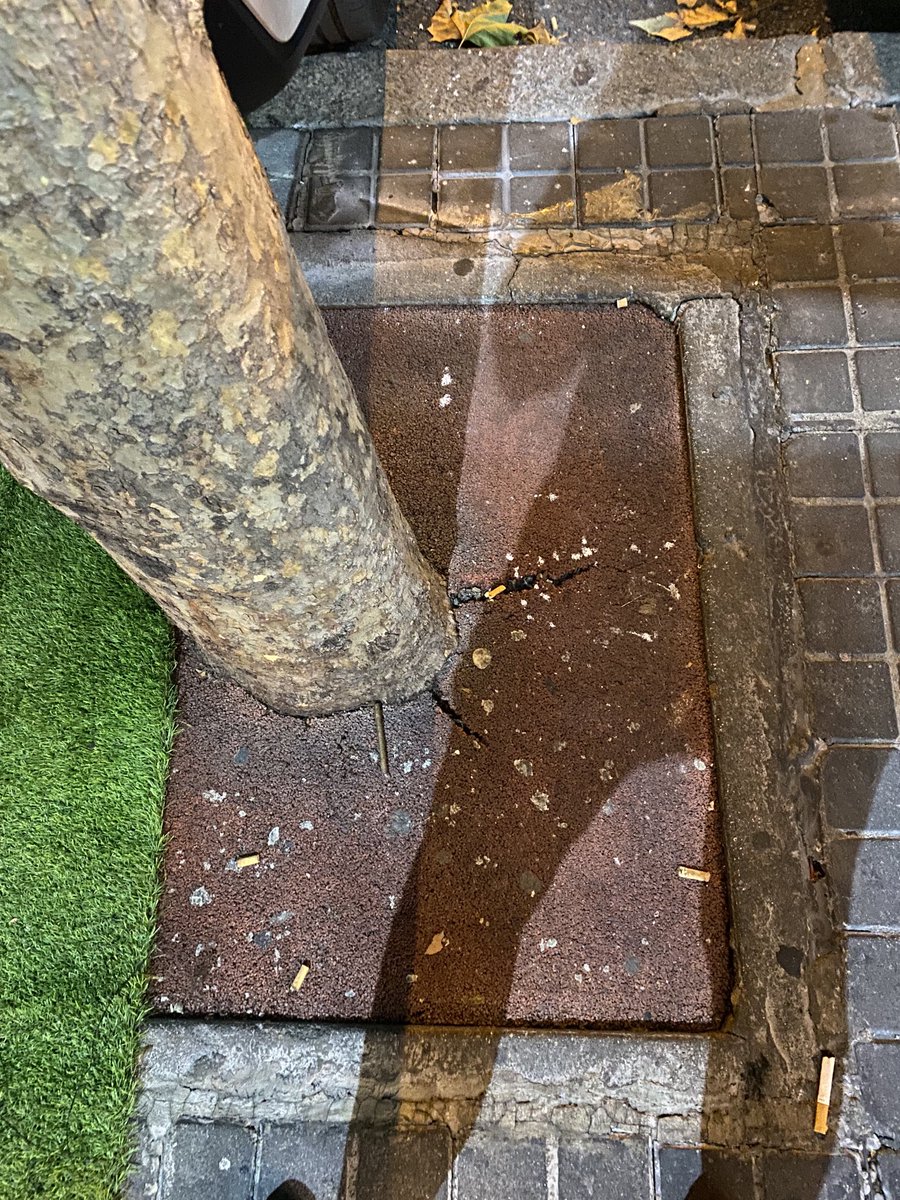 Red_de_Bomen's tweet photo. Ook in #madrid , #boomspiegels veel te klein! 🌳🌳🌳#klimaatadaptatie #groenindestad #bomen https://t.co/wK42nVuW0c