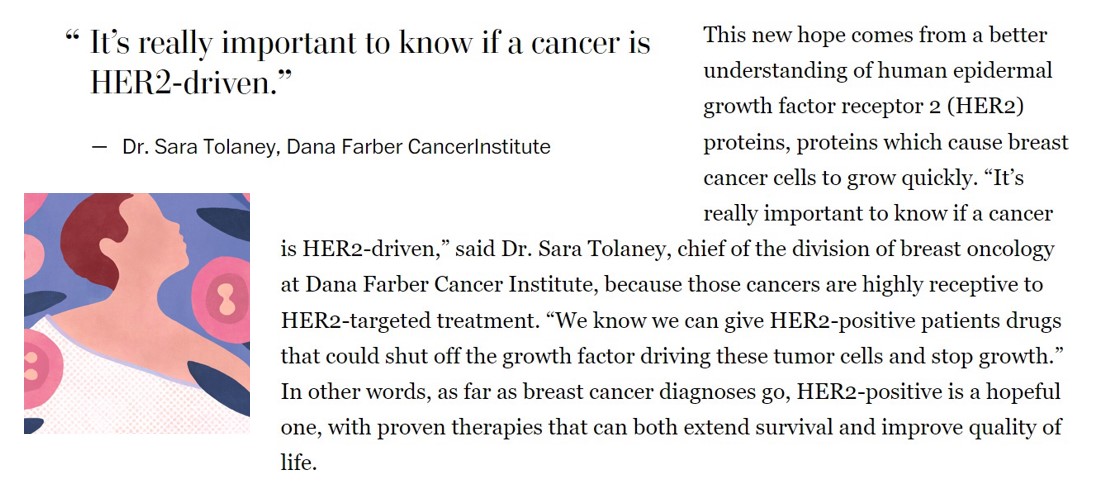 🤔Are you still confused about the new #HER2low categorization? 🤔 Then check out➡️this @washingtonpost article with Dr. Sara Tolaney (@stolaney1), which explains the importance of the new #HER2 categorization for #MetastaticBreastCancer treatment. #bcsm washingtonpost.com/creativegroup/…