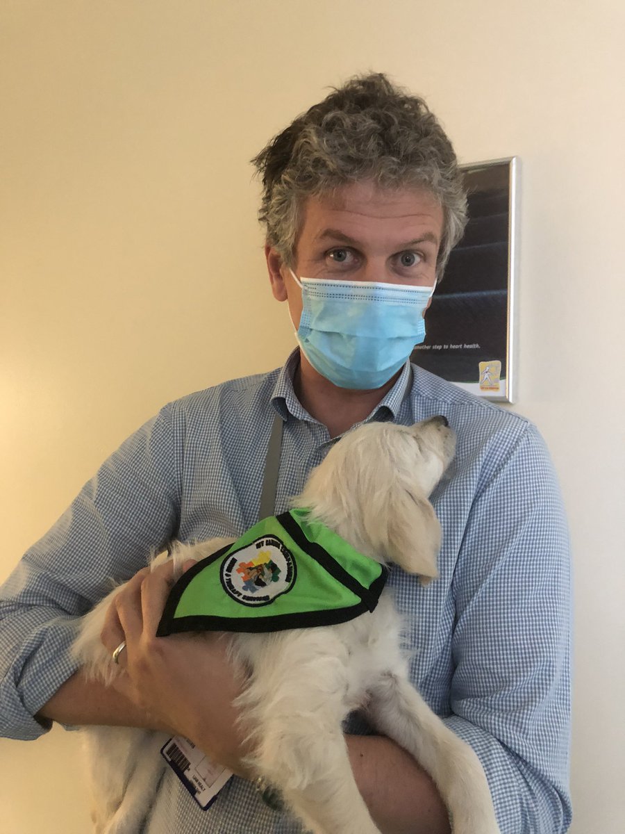 Dr. Irene Hartigan (@ihartigan) on Twitter photo Today I witnessed staff and stroke survivors simile & laugh when Kalia <a href="/mycaninecompani/">My Canine Companion</a> accompanied me to the ward <a href="/CUH_Cork/">Cork University Hospitals</a> only a neuropsychologist like <a href="/MarciaW_ard/">Marcia</a> could request I visit with puppy🐾 mycaninecompani commitment to cainine therapy is expanding #stroke Today I witnessed staff and stroke survivors simile & laugh when Kalia <a href="/mycaninecompani/">My Canine Companion</a> accompanied me to the ward <a href="/CUH_Cork/">Cork University Hospitals</a> only a neuropsychologist like <a href="/MarciaW_ard/">Marcia</a> could request I visit with puppy🐾 mycaninecompani commitment to cainine therapy is expanding #stroke