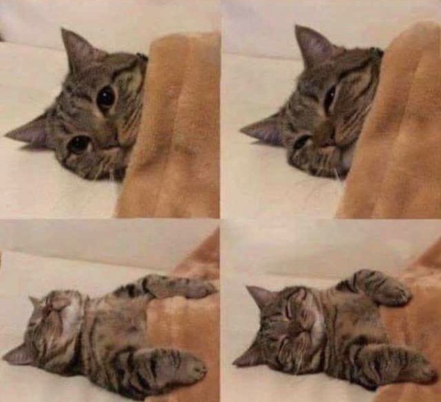 - Ok pongo la película pero no te duermas 
- Bueno dale