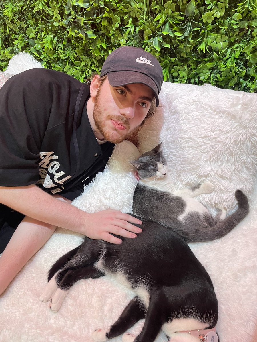 sapnapalt's tweet photo. making patches jealous 😼 https://t.co/HzISjLi7dJ