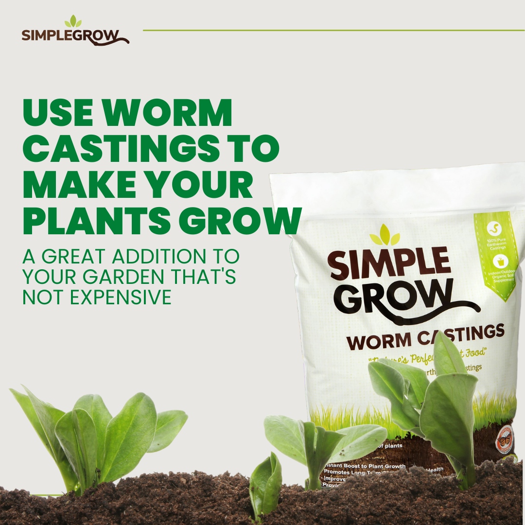 Simple Grow tweet media