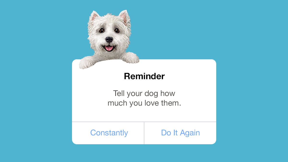 Bonus points if you smoosh their little faces while you do it. #welovedogs #dogparentlife