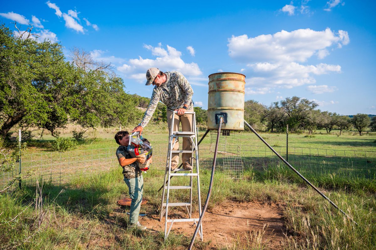 TXCRLT's tweet photo. Getting deer camps properly prepped for the hunting season is essential for a successful fall.  For many, a well-run deer camp prioritizes property preparation throughout the year. Get our 6 tips for prepping deer camp - https://t.co/QkbZSaIMYU https://t.co/96DT0uDi51