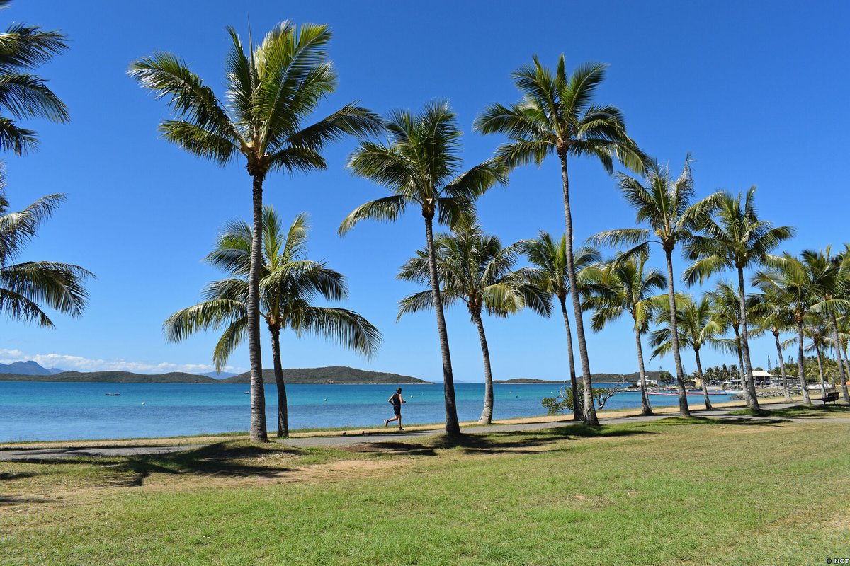 NewCaledonia's tweet photo. An early morning jog along #AnseVata, a swim in the lagoon or the pool and a nice healthy breakfast at #LesCaféstoresMalongoNC, there is no better way to start your day 😌
What's your morning routine on holidays?
📍Nouméa, Destination Province Sud
#NewCaledonia #Nouméa https://t.co/ojjWg1xvqb