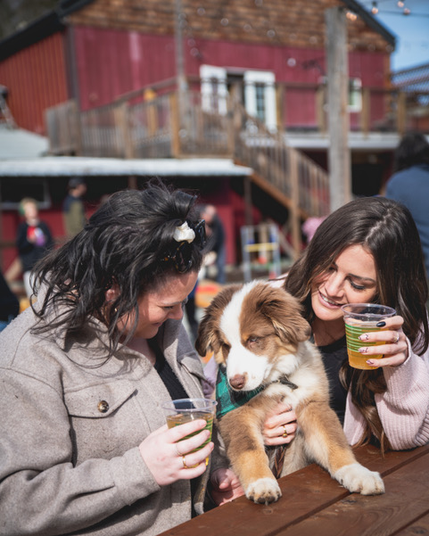 Destination Greater Victoria Membership (@tvictweeters) on Twitter photo Please welcome our newest member <a href="/JunctionCider/">Junction Victoria</a> to the DGV community!
Junction Orchard & Cidery is a locally owned and family run cidery. The tasting room is open Friday, Saturday, and Sunday from 12-6. Bring your dogs and kids!
tourismvictoria.com/eat-drink/craf… Please welcome our newest member <a href="/JunctionCider/">Junction Victoria</a> to the DGV community!
Junction Orchard & Cidery is a locally owned and family run cidery. The tasting room is open Friday, Saturday, and Sunday from 12-6. Bring your dogs and kids!
tourismvictoria.com/eat-drink/craf…