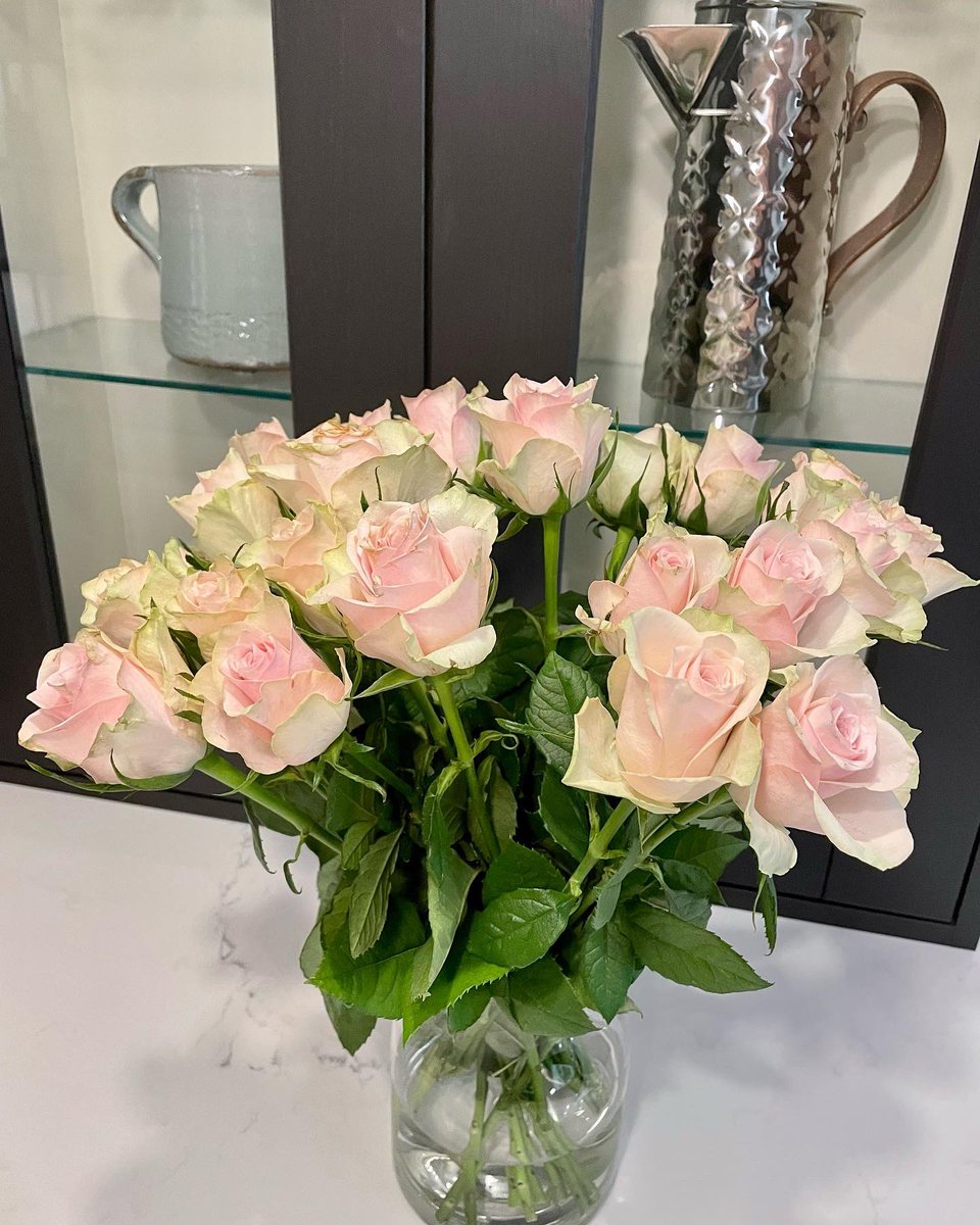 SamWakefieldCC's tweet photo. Ballet slipper pink birthday roses 

#roses #flowers #flowersphotography https://t.co/WlT66oEnH1